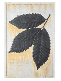 American Chestnut Wall Plaque